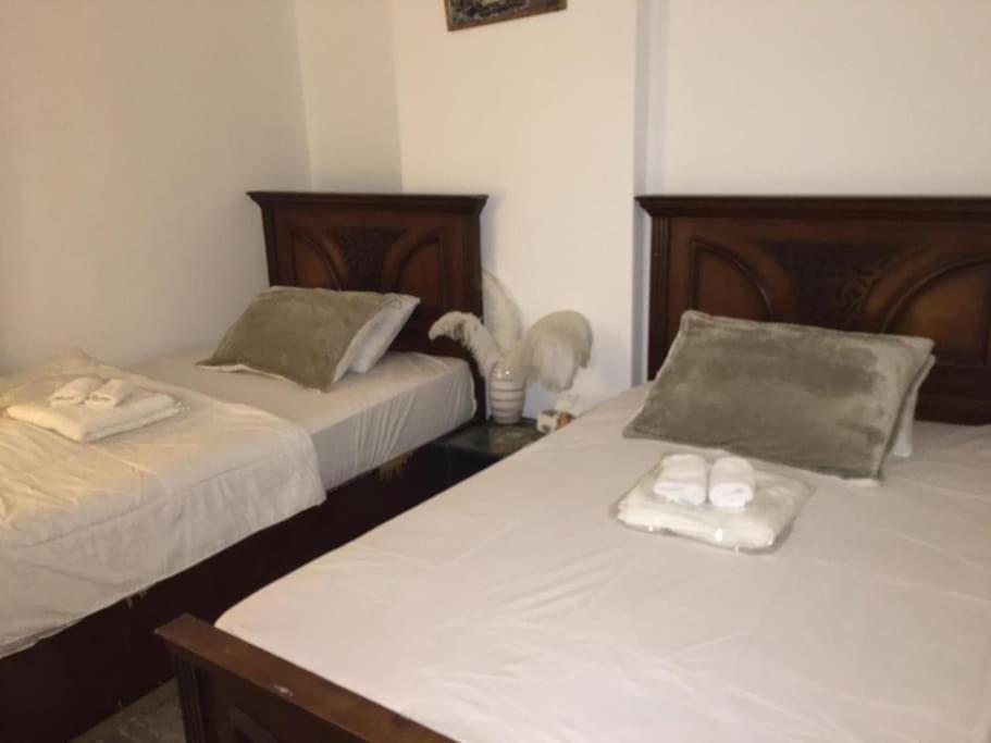 Cozy House, Nasr City, Airport, Who * Cairo